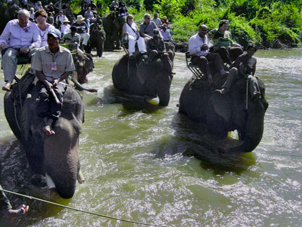 Durchquerung des Flusses auf Elefanten